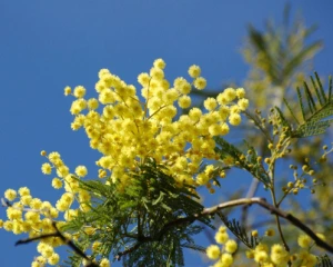 Назвали області, де завтра пройдуть дощі