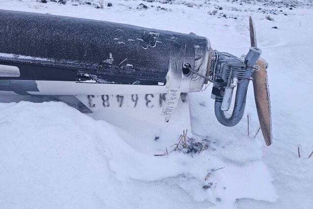 photo2026-02-0618-34-24